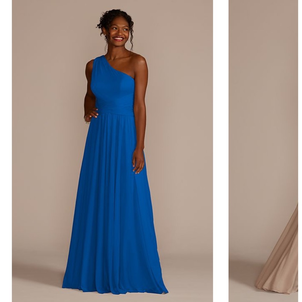 David’s Bridal, one shoulder chiffon, floor length